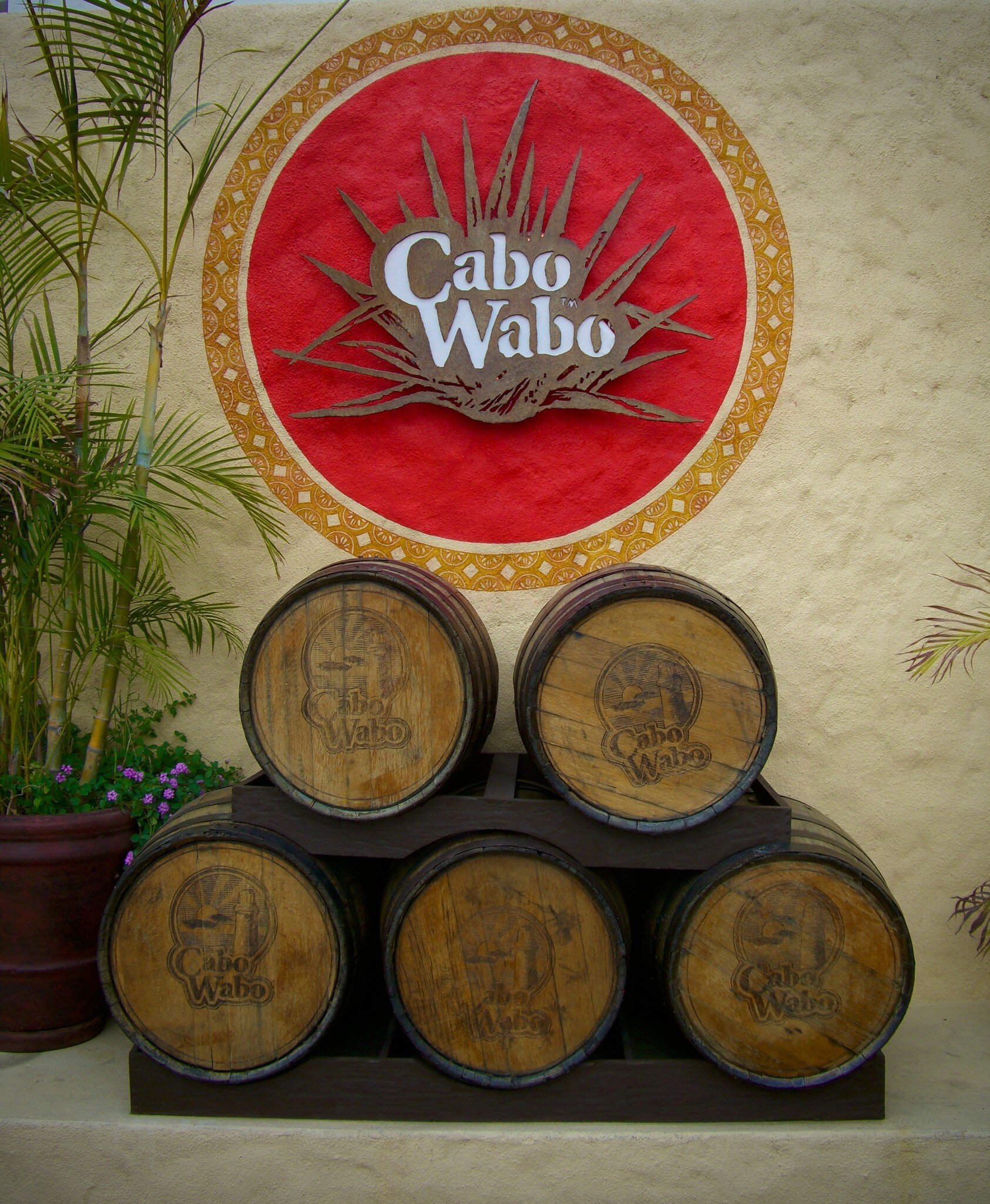 View of barrels outside the Cabo Wabo Cantina in Cabo San Lucas, Mexico.