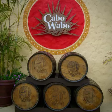 View of barrels outside the Cabo Wabo Cantina in Cabo San Lucas, Mexico.