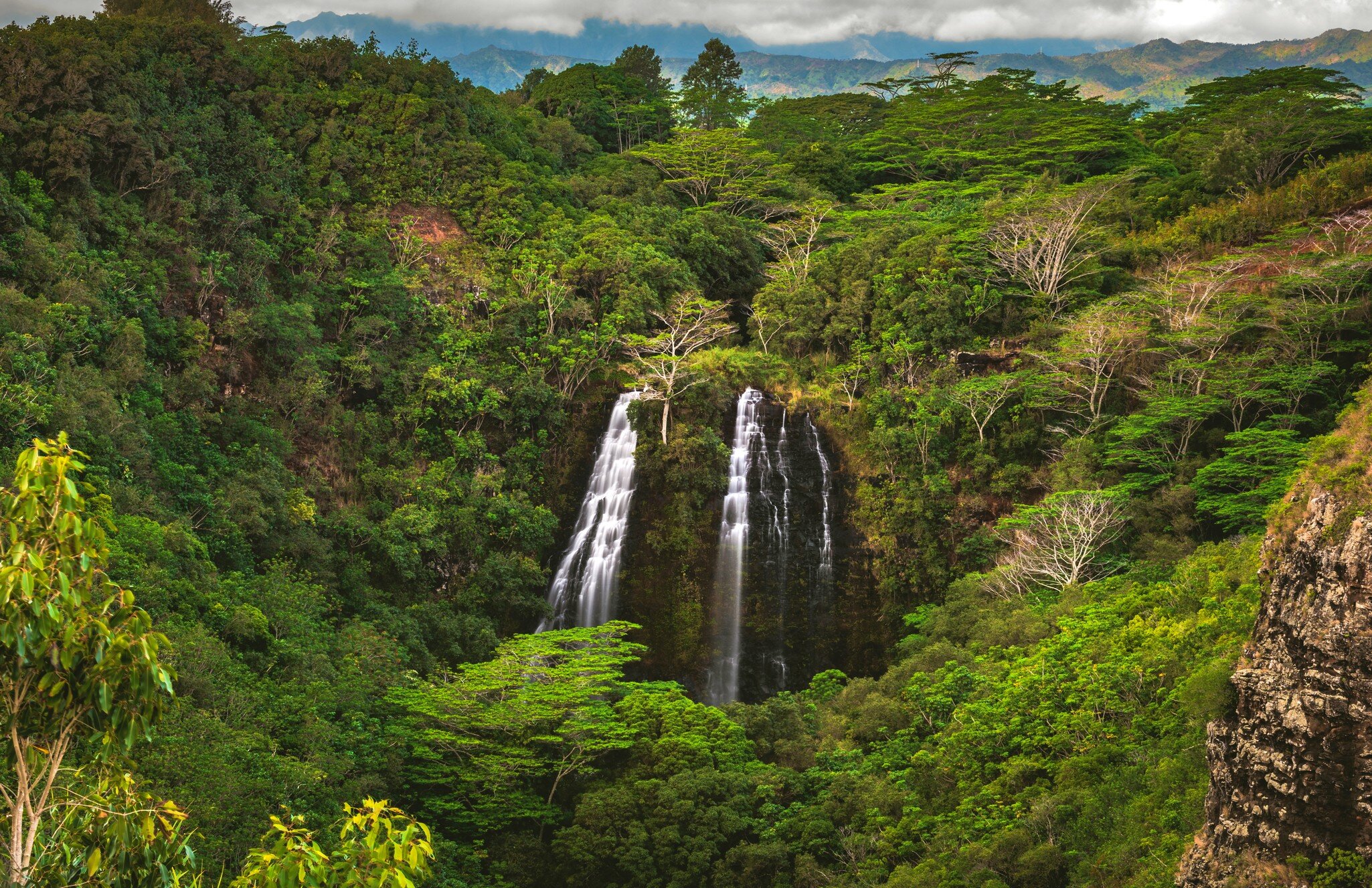 ʻŌpaekaʻa Falls, a waterfall located on the ʻŌpaekaʻa Stream in Wailua River State Park on the eastern side of the island of Kauai, Hawaii, United States.; Shutterstock ID 1378671545; purchase_order: 65050; job: ; client: ; other: