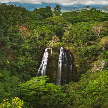 ʻŌpaekaʻa Falls, a waterfall located on the ʻŌpaekaʻa Stream in Wailua River State Park on the eastern side of the island of Kauai, Hawaii, United States.; Shutterstock ID 1378671545; purchase_order: 65050; job: ; client: ; other: