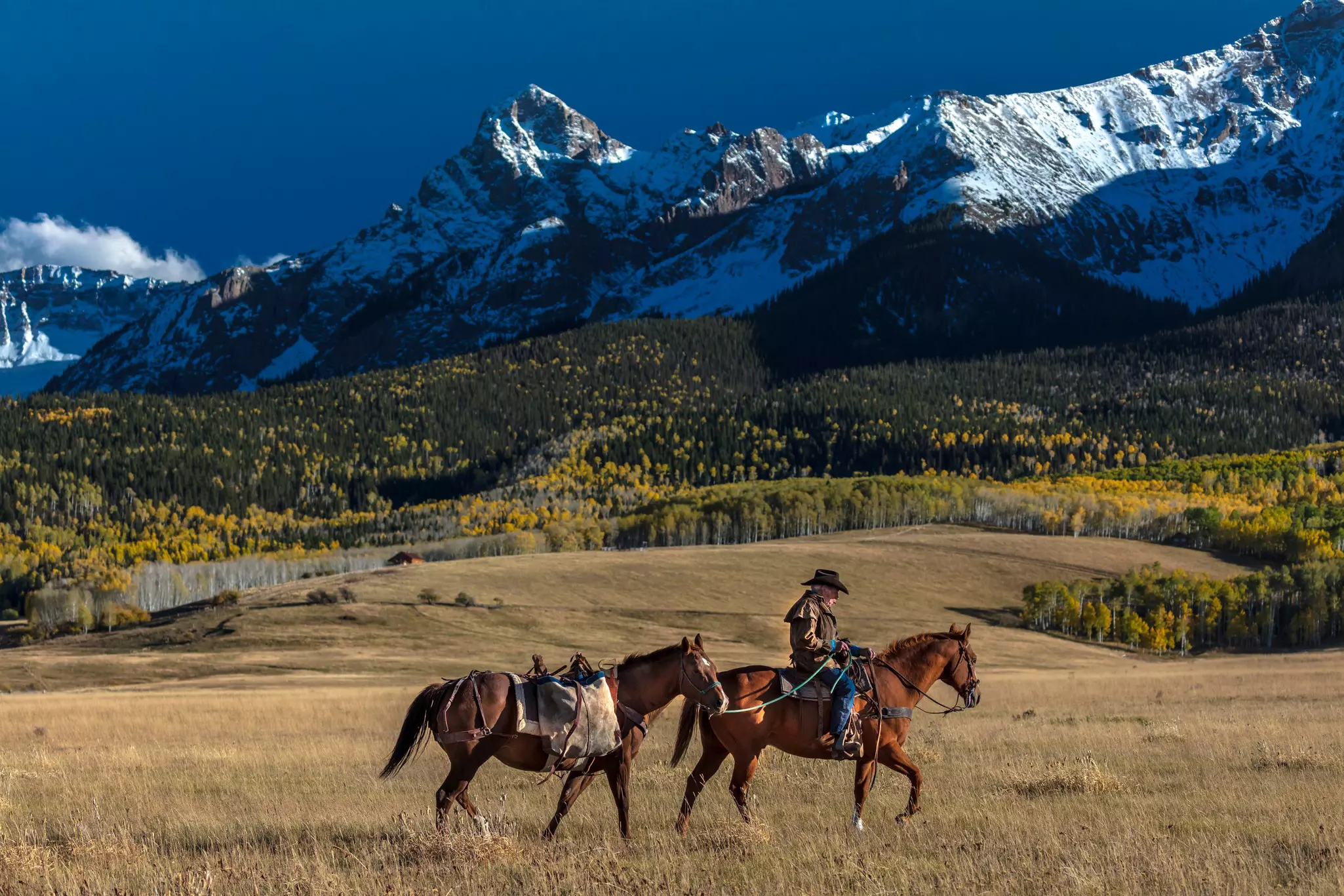 A man rides a horse as another horse walks nearby