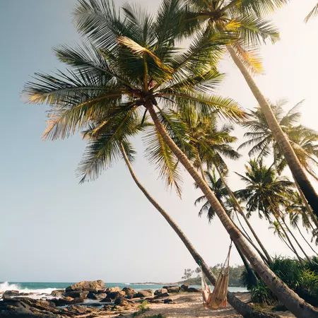 812584290
Ahangama; anantara peace haven resort; Asia; Backpacker; Beach; Child; Children Only; Color Image; Exotic; South; Sri Lanka; Tangalla; Tangalle; Tourism; Tourist; Travel; Travel Destinations; Tropical Climate; Galle; Girls; Hammock; Hiking; Holiday; Idyllic; Unawatuna; Vacation; Vacations; Vertical; Weligama; Matara; Midigama; Mirissa; Nature; One Girl Only; One Person; Outdoors; Palm Tree; Paradise; Passenger; People; Photography; Relaxation;
Beach hammock between palm trees at a private beach in Tangalle, Sri Lanka.