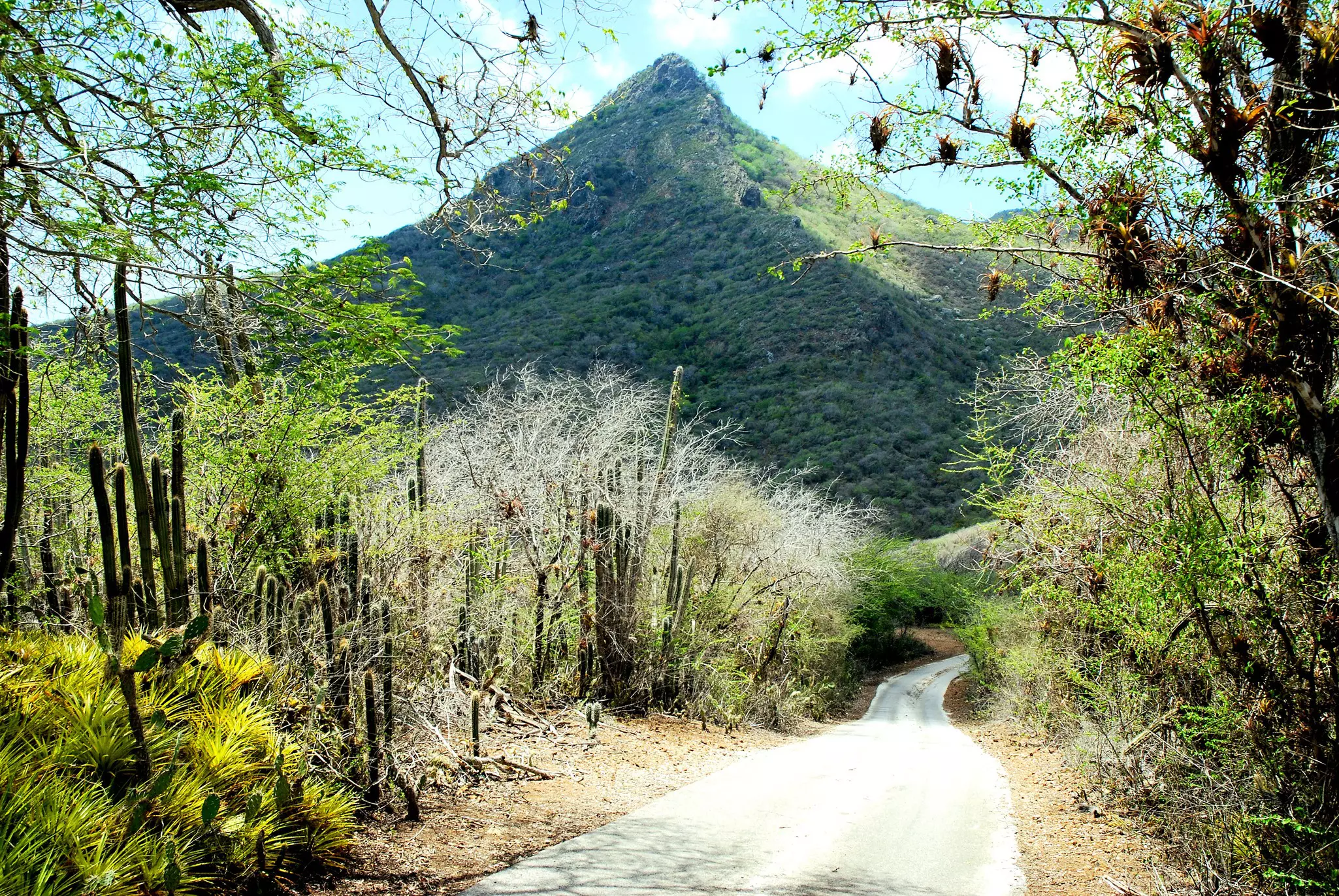 A hike to the top of Mt Christoffel will give you unrivalled views of Curaçao – pack your camera © Getty Images/iStockphoto