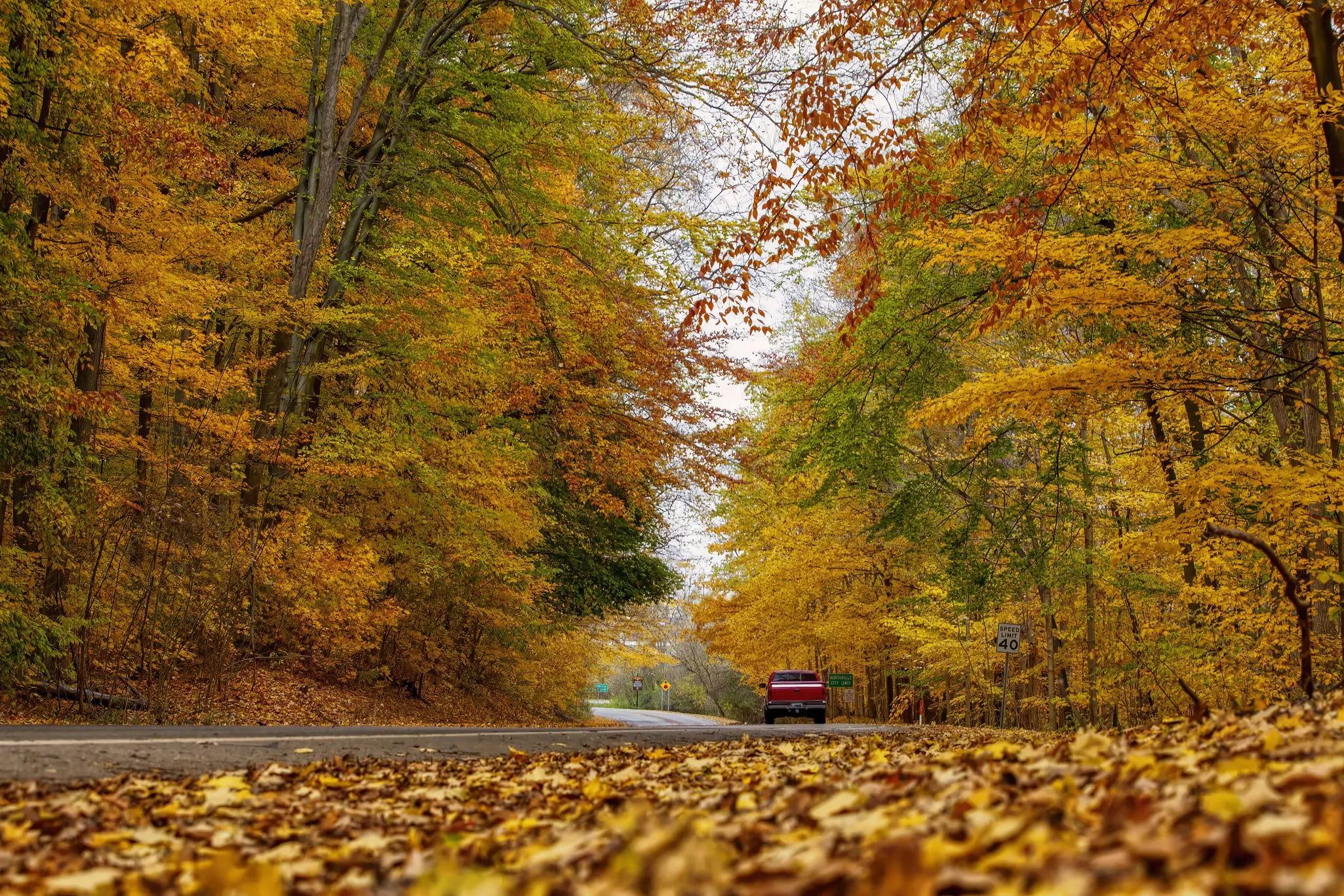 You can spot gorgeous fall colors while driving in Michigan © Ali Majdfar / Getty Images