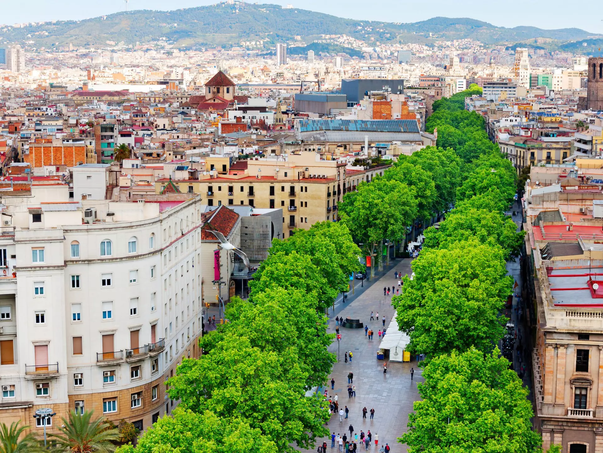BARCELONA, SPAIN - MAY 2: Las Ramblas on May 2, 2014 in Barcelona.Thousands of people walk daily by this popular pedestrian street.
aerial, architecture, barcelona, building, catalonia, catalunya, city, cityscape, europe, high, la, landmark, landscape, las, les, main, outdoors, panoramic, pedestrians, rambla, ramblas, rambles, roof, skyline, street, top, town, travel, tree, urban, view