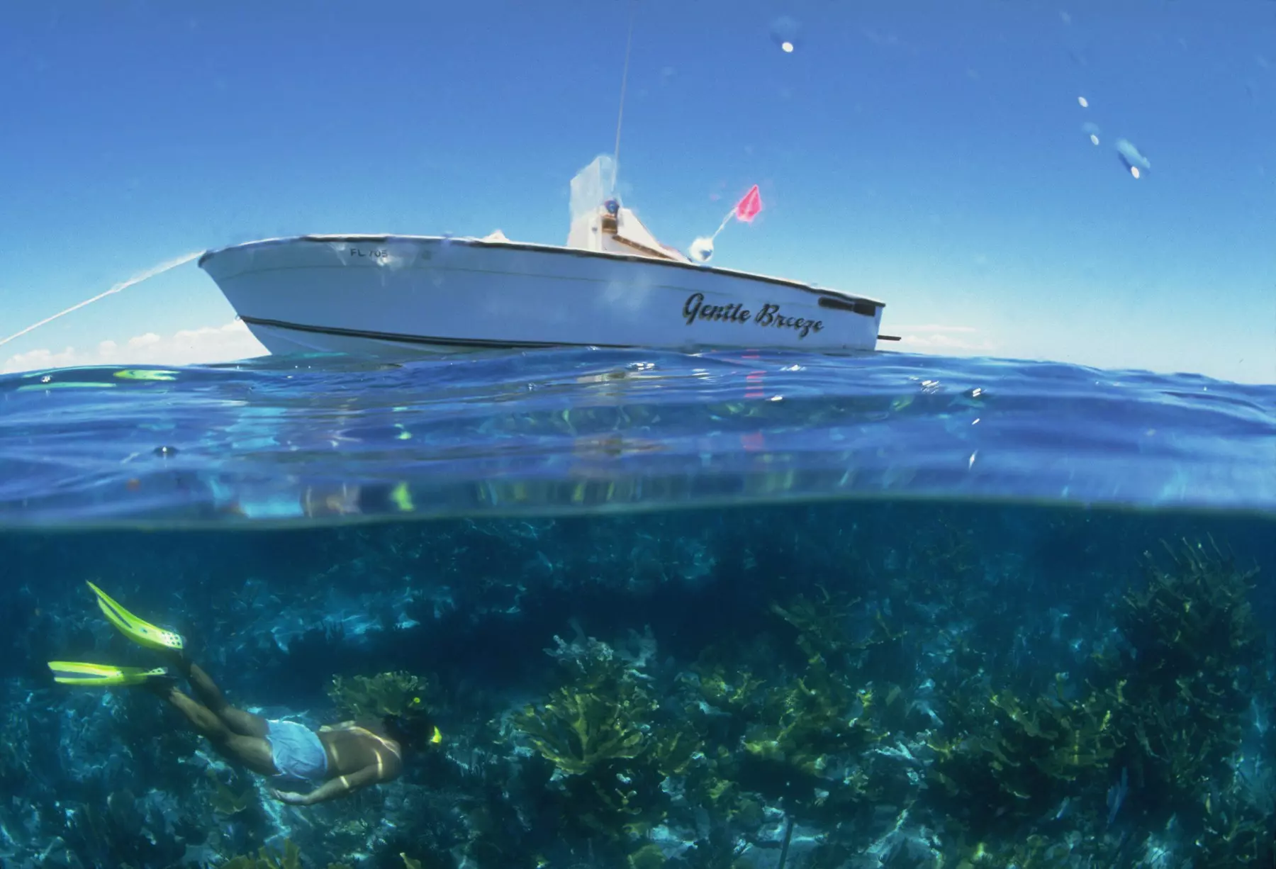 An image shows a snorkeler submerged beneath shallow water, and the hull of a boat above the water’s surface.