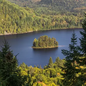 View of an island in the middle of a lake surrounded by greenery in La Mauricie National Park, Canada.