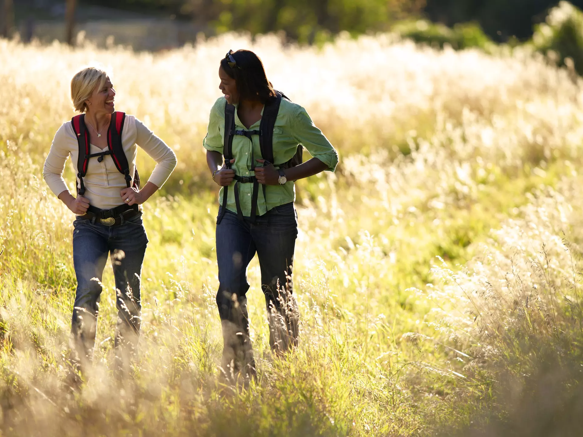 Two women hiking through a grassy meadow in Colorado
110804444
companionship, happiness, enjoyment