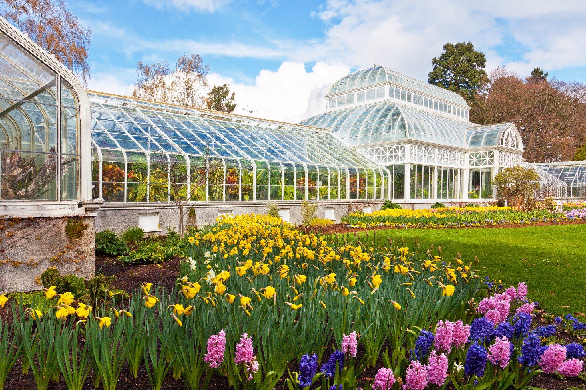 SEATTLE - APRIL 5: Volunteer Park Conservatory in Seattle on April 5, 2012. The city is exploring new funding sources to offset the annual operating budget of $450K. ; Shutterstock ID 103534460; Your name (First / Last): Josh Vogel; Project no. or...