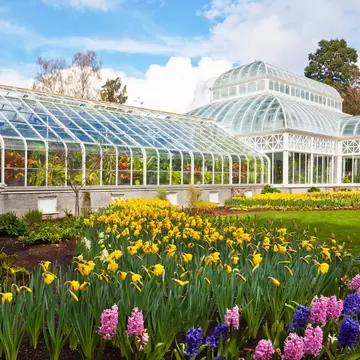 SEATTLE - APRIL 5: Volunteer Park Conservatory in Seattle on April 5, 2012. The city is exploring new funding sources to offset the annual operating budget of $450K. ; Shutterstock ID 103534460; Your name (First / Last): Josh Vogel; Project no. or...