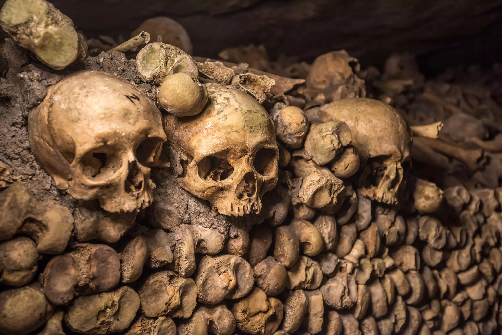 Skulls and bones in a catacombs.