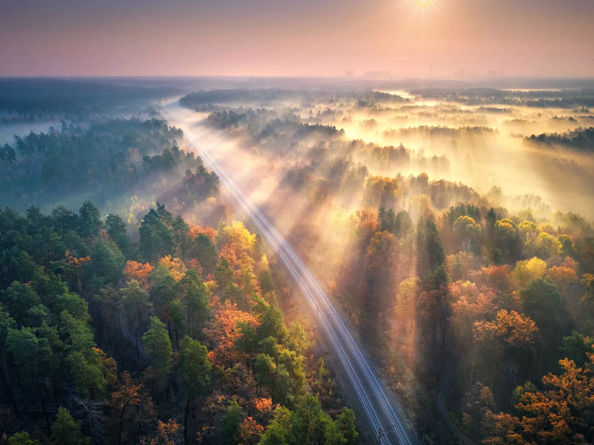 Aerial view of beautiful railroad in autumn forest in foggy sunrise. Industrial landscape with railway station, sky, trees with orange leaves, fog and sun rays. Top view of rural railroad and sunbeams
1269949311