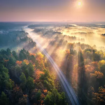Aerial view of beautiful railroad in autumn forest in foggy sunrise. Industrial landscape with railway station, sky, trees with orange leaves, fog and sun rays. Top view of rural railroad and sunbeams
1269949311
