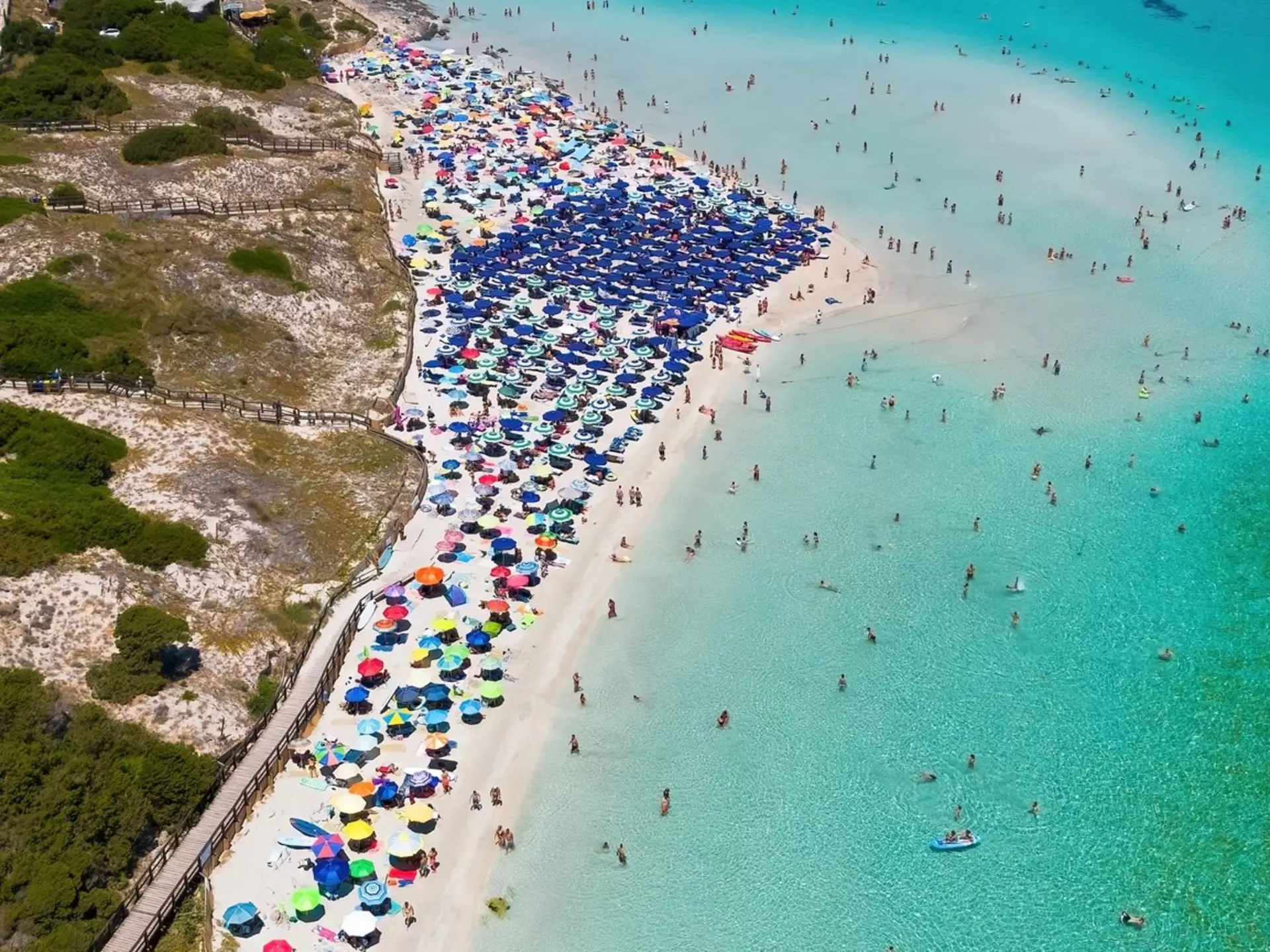 Aerial view of the crowded paradise beach La Pelosa in Stintino, Sardinia