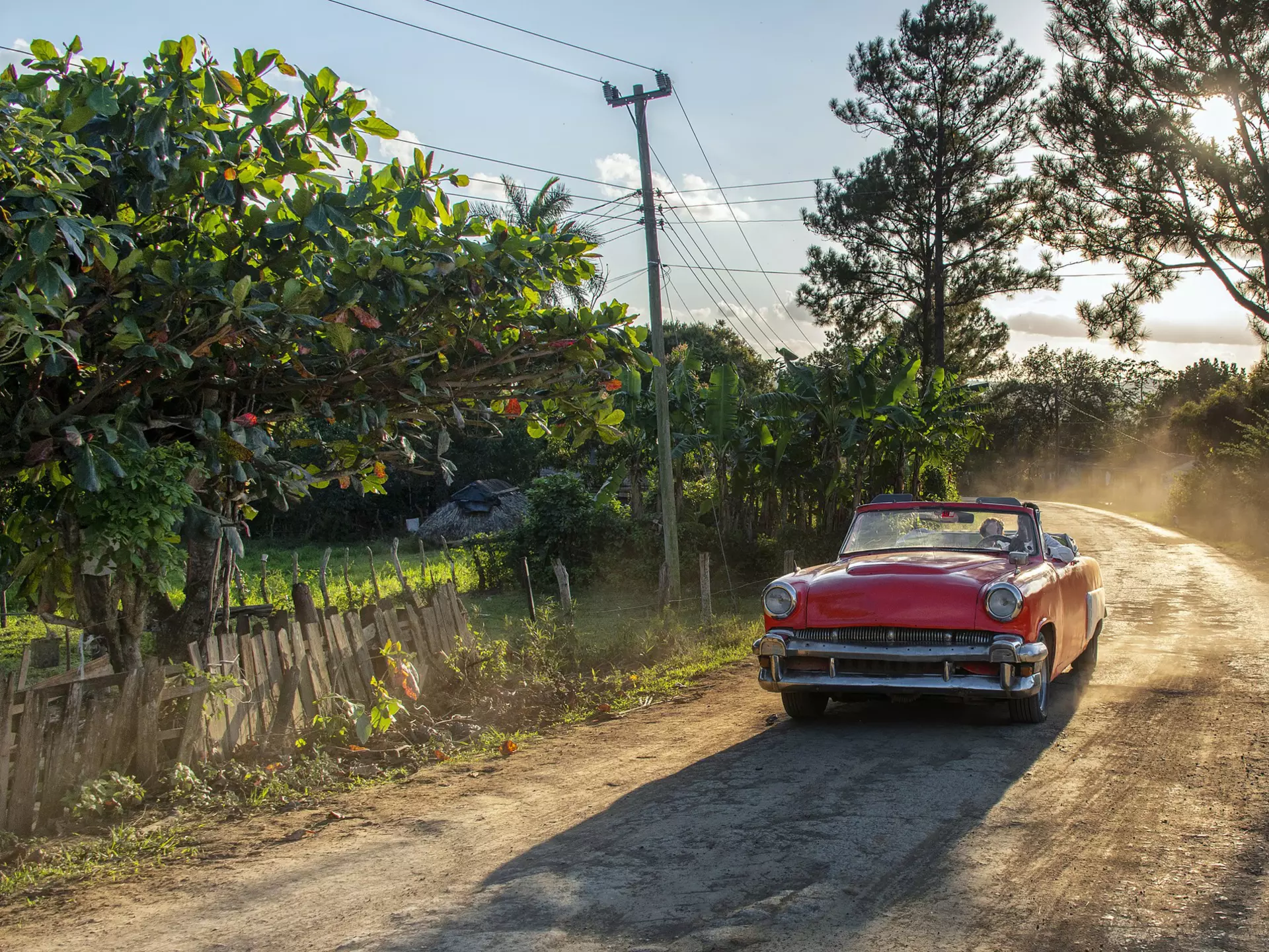 A person driving a vintage car on an unmade road in Viñales, a beautiful and lush valley in Pinar del Río Province, Cuba