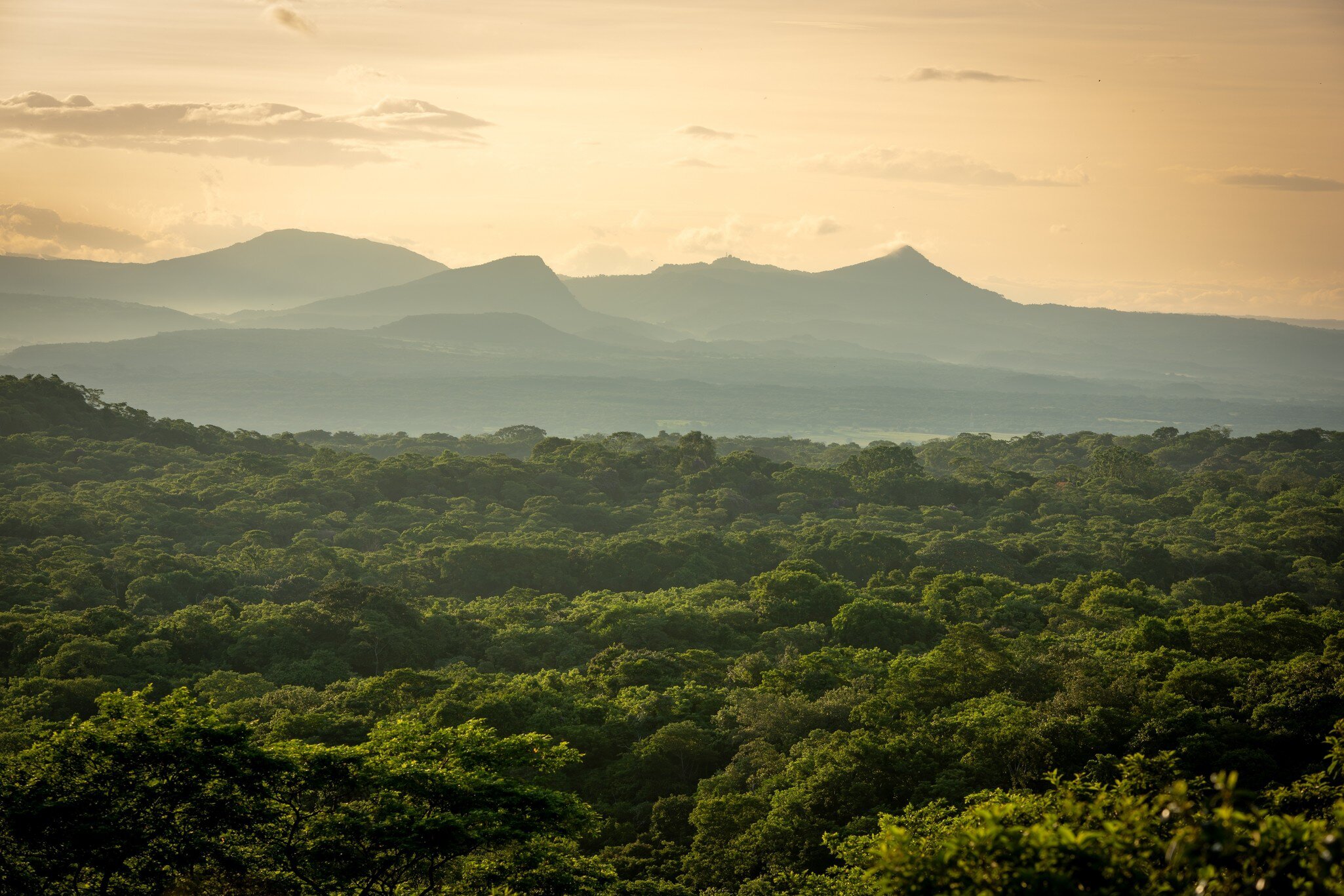 Golden sunrise over the lush forest of Santa Rosa National Park with the Guanacaste volcanic range in the backdrop.