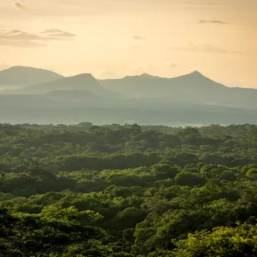 Golden sunrise over the lush forest of Santa Rosa National Park with the Guanacaste volcanic range in the backdrop.