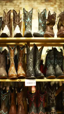 Cowboy boots standing in a row on a shelf in a store.
