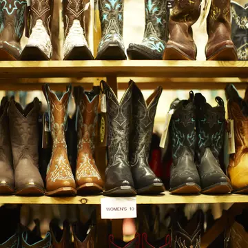 Cowboy boots standing in a row on a shelf in a store.