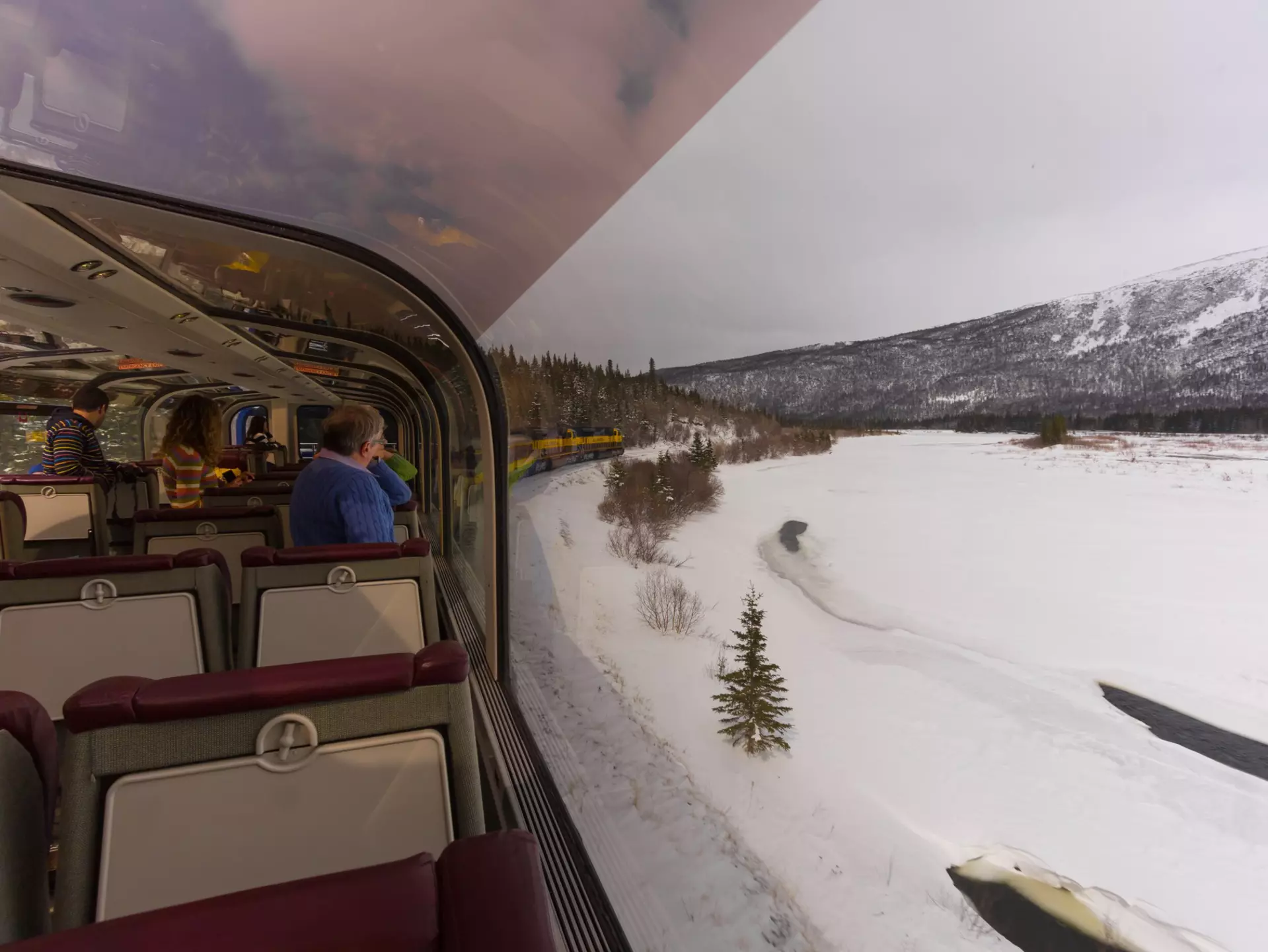 Anchorage, Alaska: Tourist enjoy the view from Alaska Railroad Gold Star Service car on the way to Denali National Park.