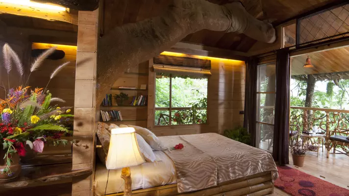 Tranquilitree Tree House