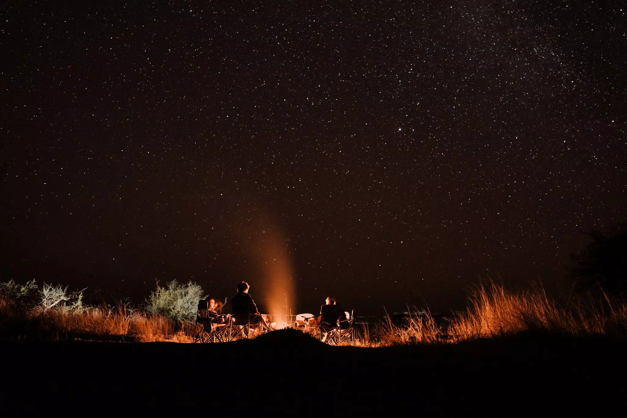 The night sky glitters with stars in Botswana’s Okavango Delta © Alice Greenfield