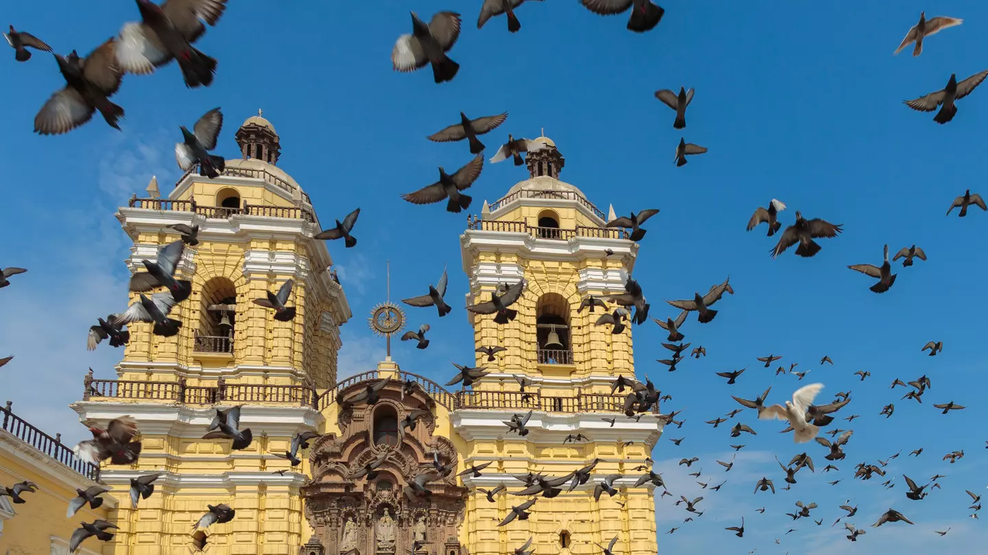 A flock of pigeons fly upwards into a blue sky above a yellow church building with two prominent bell towers