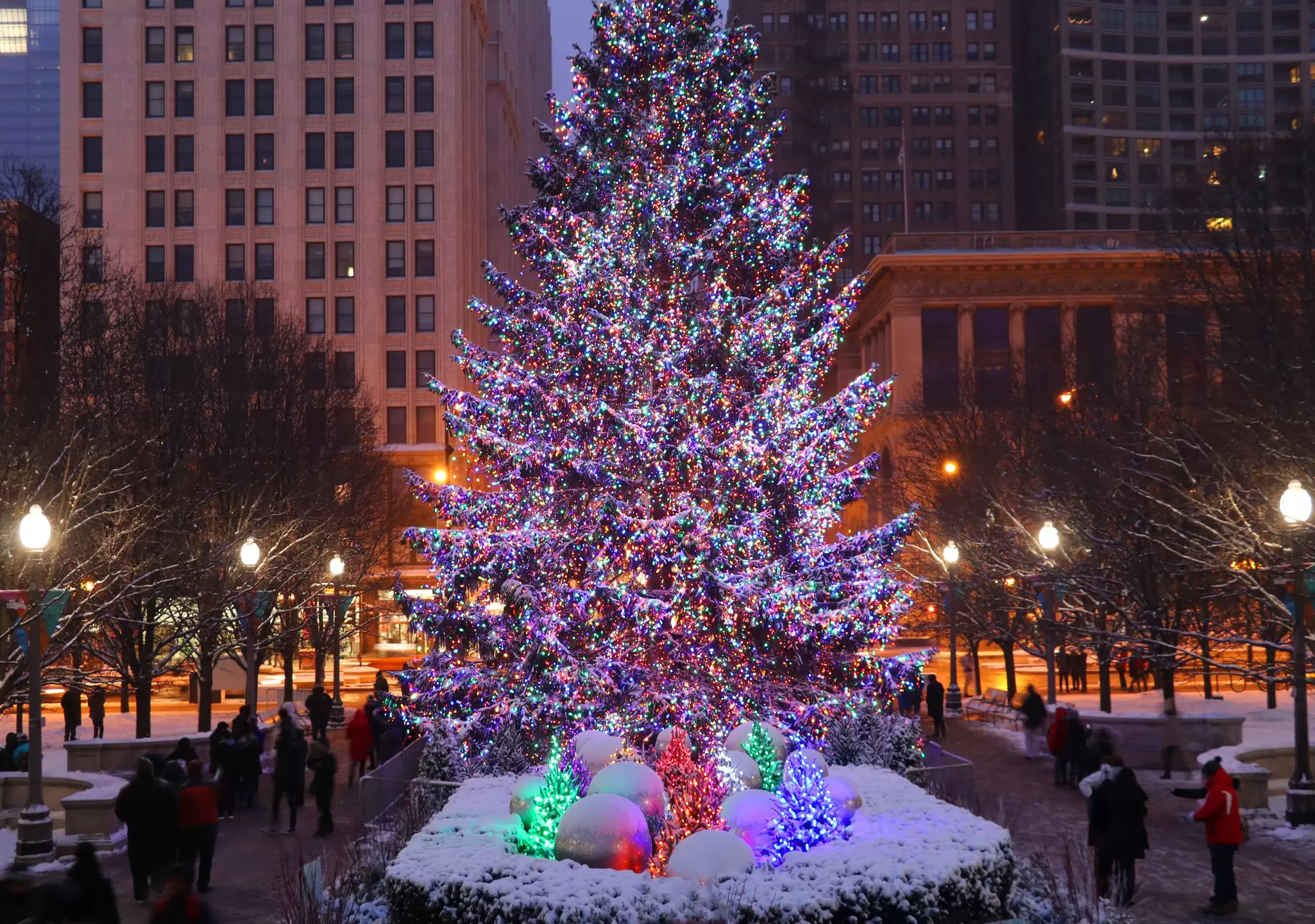 The City of Chicago Christmas tree in Millennium Park. MarynaG/Shutterstock