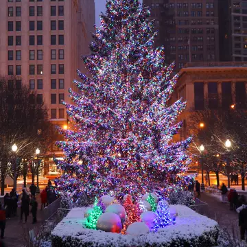 The City of Chicago Christmas tree in Millennium Park. MarynaG/Shutterstock