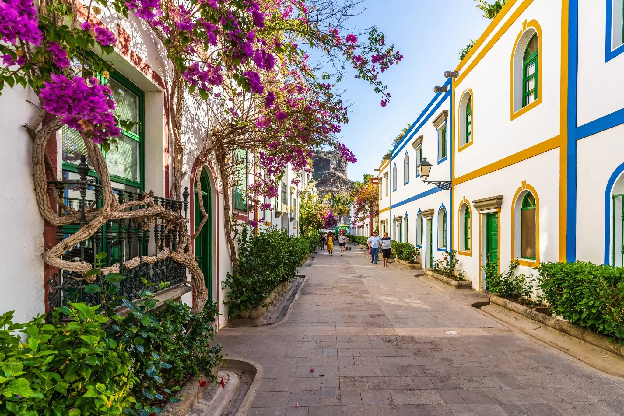 White buildings with brightly colored trip on a pedestrian street; there is a pink blooming vine growing on one in the foreground.