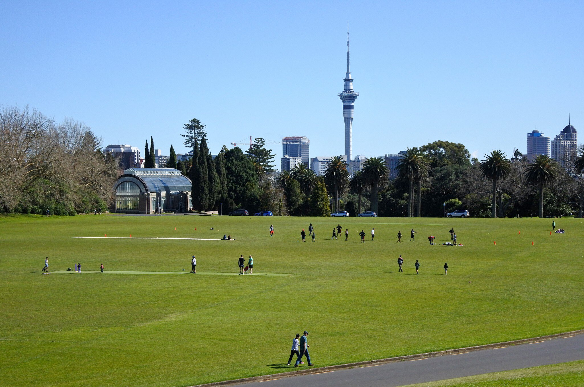 People walk on the green grass of Pukekawa/Auckland Domain on a sunny day in Auckland, New Zealand.