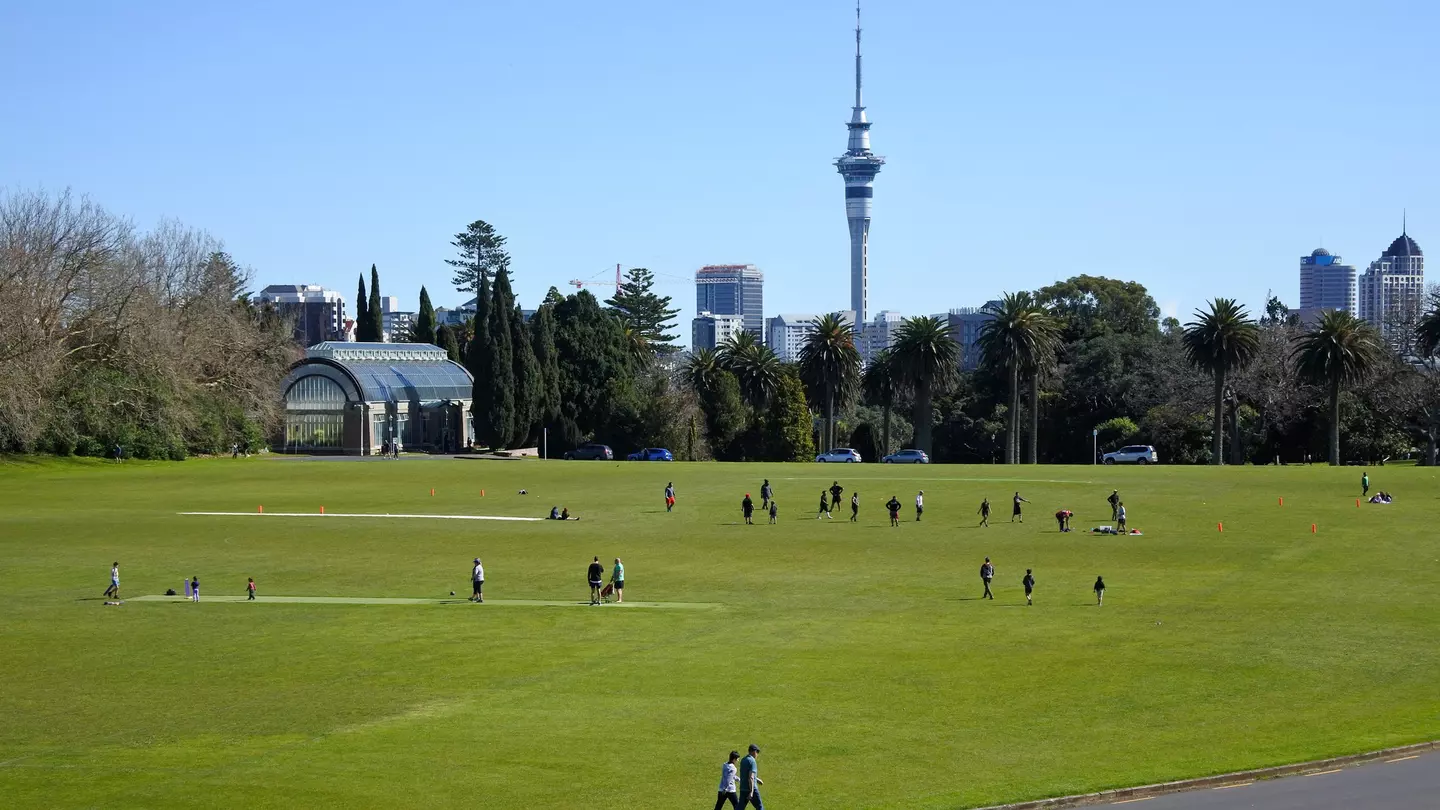 People walk on the green grass of Pukekawa/Auckland Domain on a sunny day in Auckland, New Zealand.