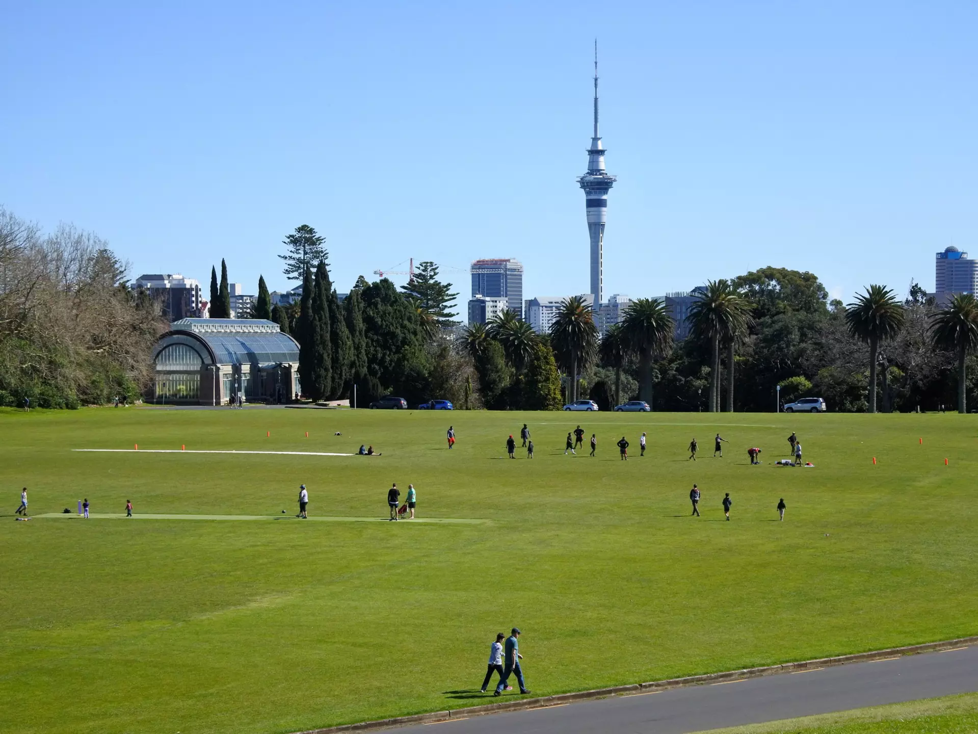 People walk on the green grass of Pukekawa/Auckland Domain on a sunny day in Auckland, New Zealand.
