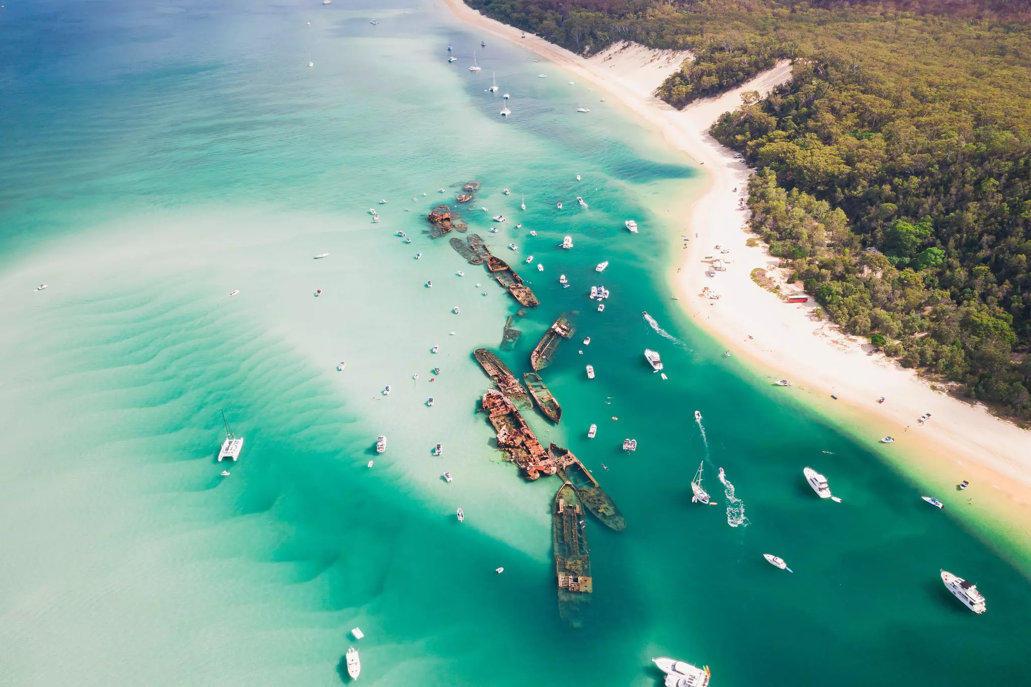 Shipwrecks surrounded by smaller yachts and sailboats in a greenish sea with a strip of sand bordering it and forest further to the right on a sunny day.
