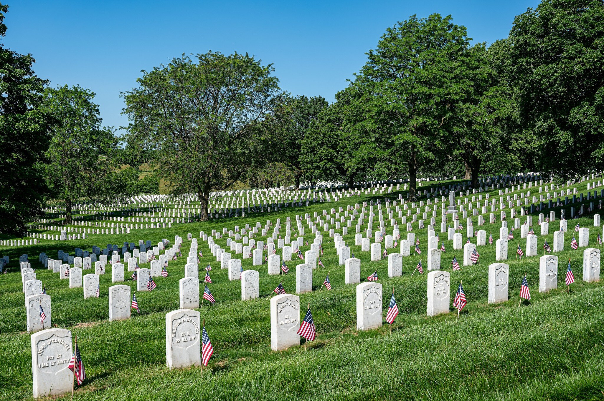 Rows of white marble headstones in mown grass beneath tall trees.