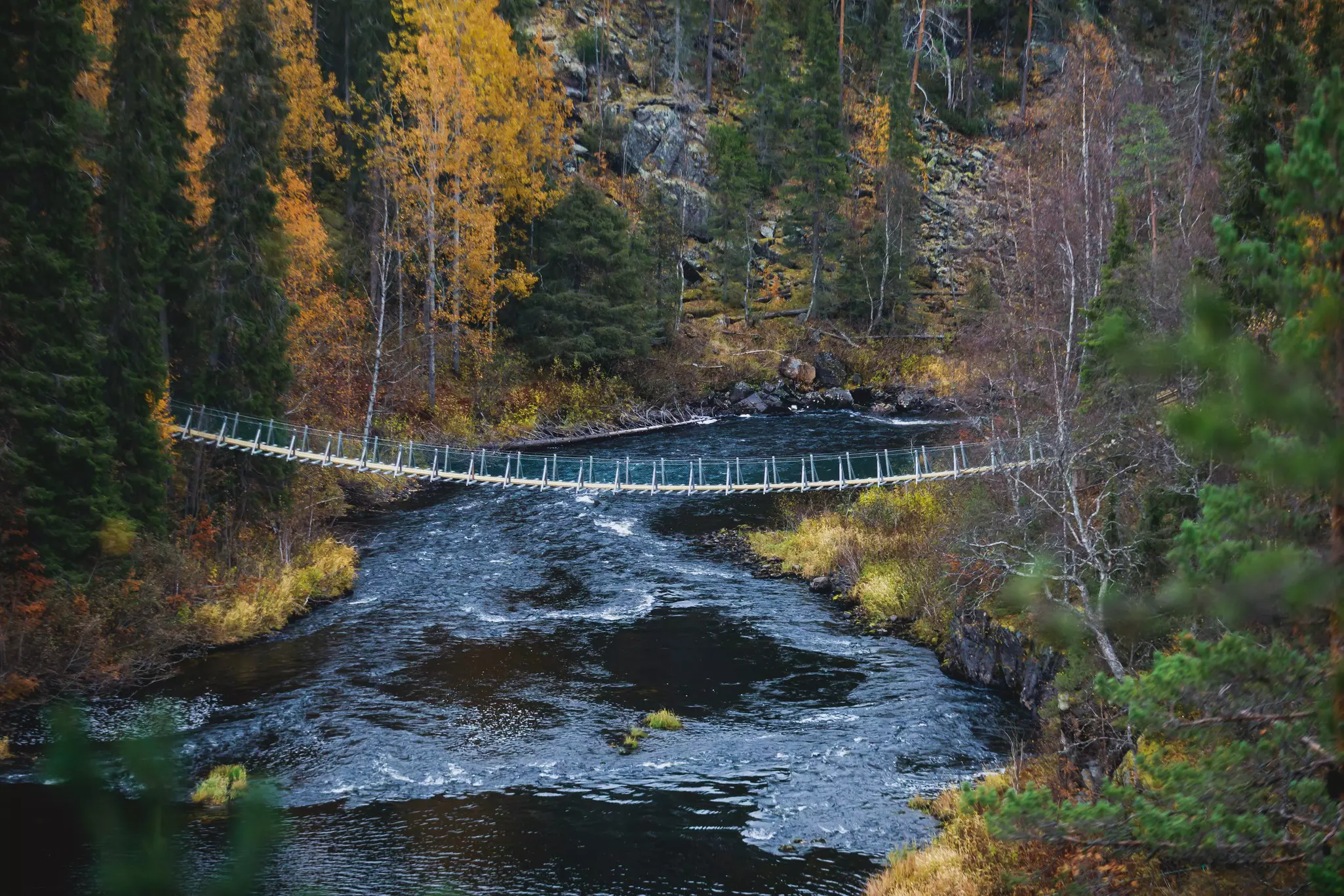 A rope bridge in Oulanka National Park, Finland. Tsuguliev/Shutterstock