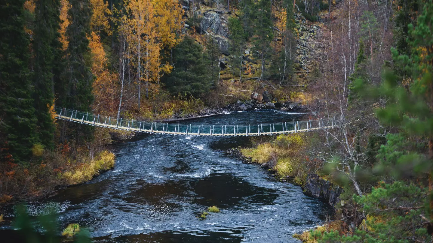 Autumn view of Oulanka National Park landscape, during hiking, a finnish national park in the Northern Ostrobothnia and Lapland regions of Finland