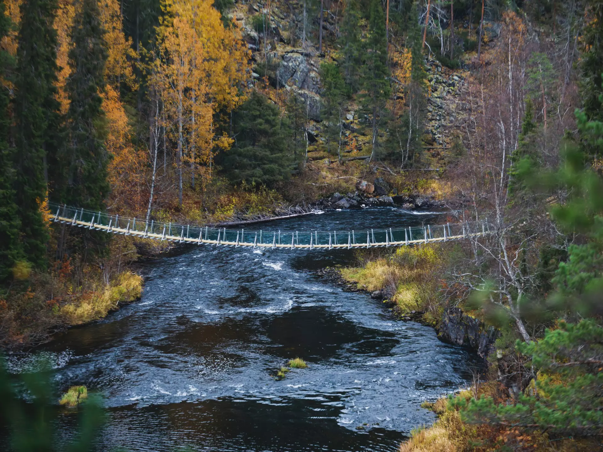 Autumn view of Oulanka National Park landscape, during hiking, a finnish national park in the Northern Ostrobothnia and Lapland regions of Finland
