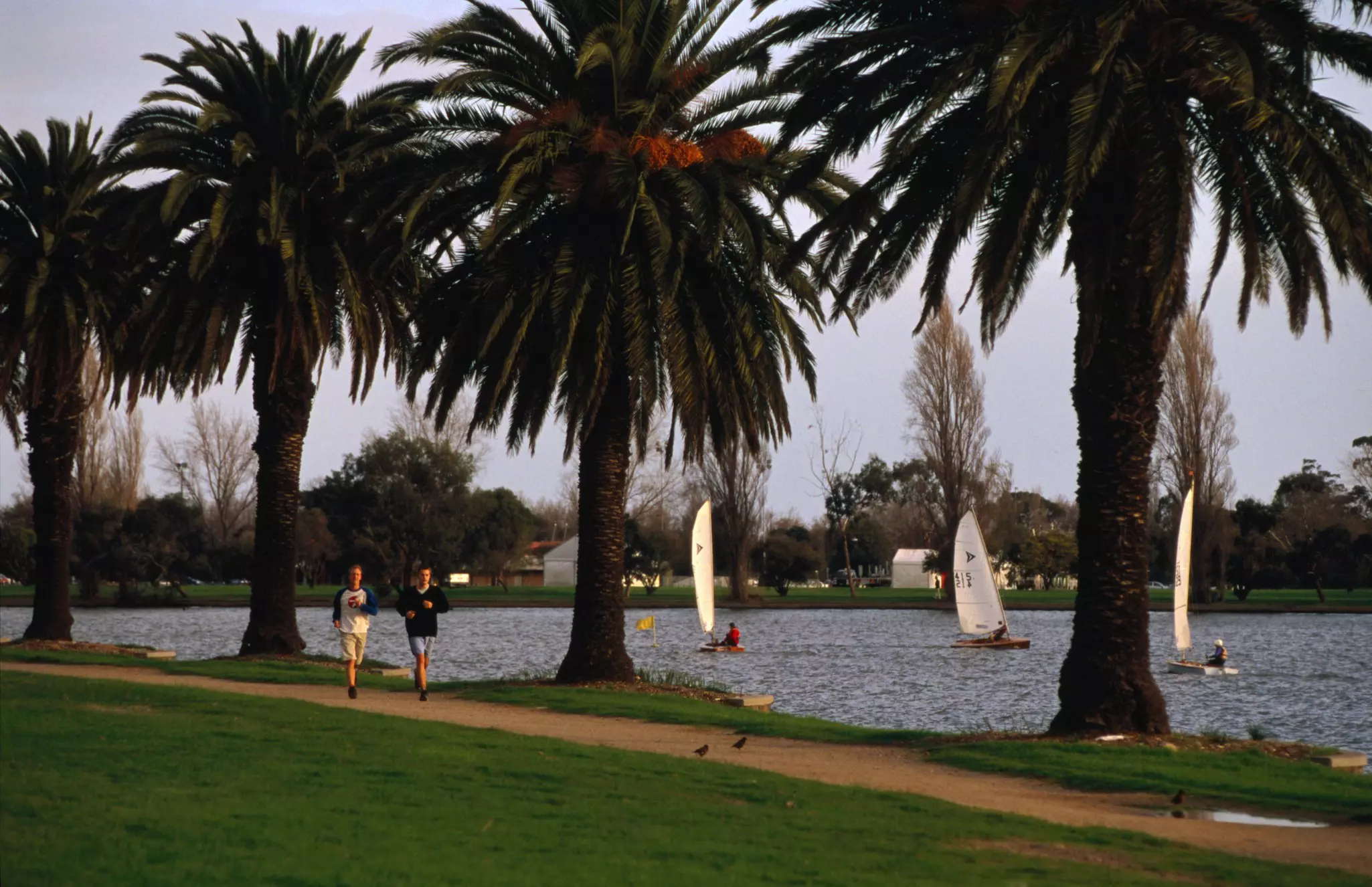A jogger makes their way around a track in Albert Park Lake. Behind them is the large lake, and beyond that the skyline of central Melbourne.