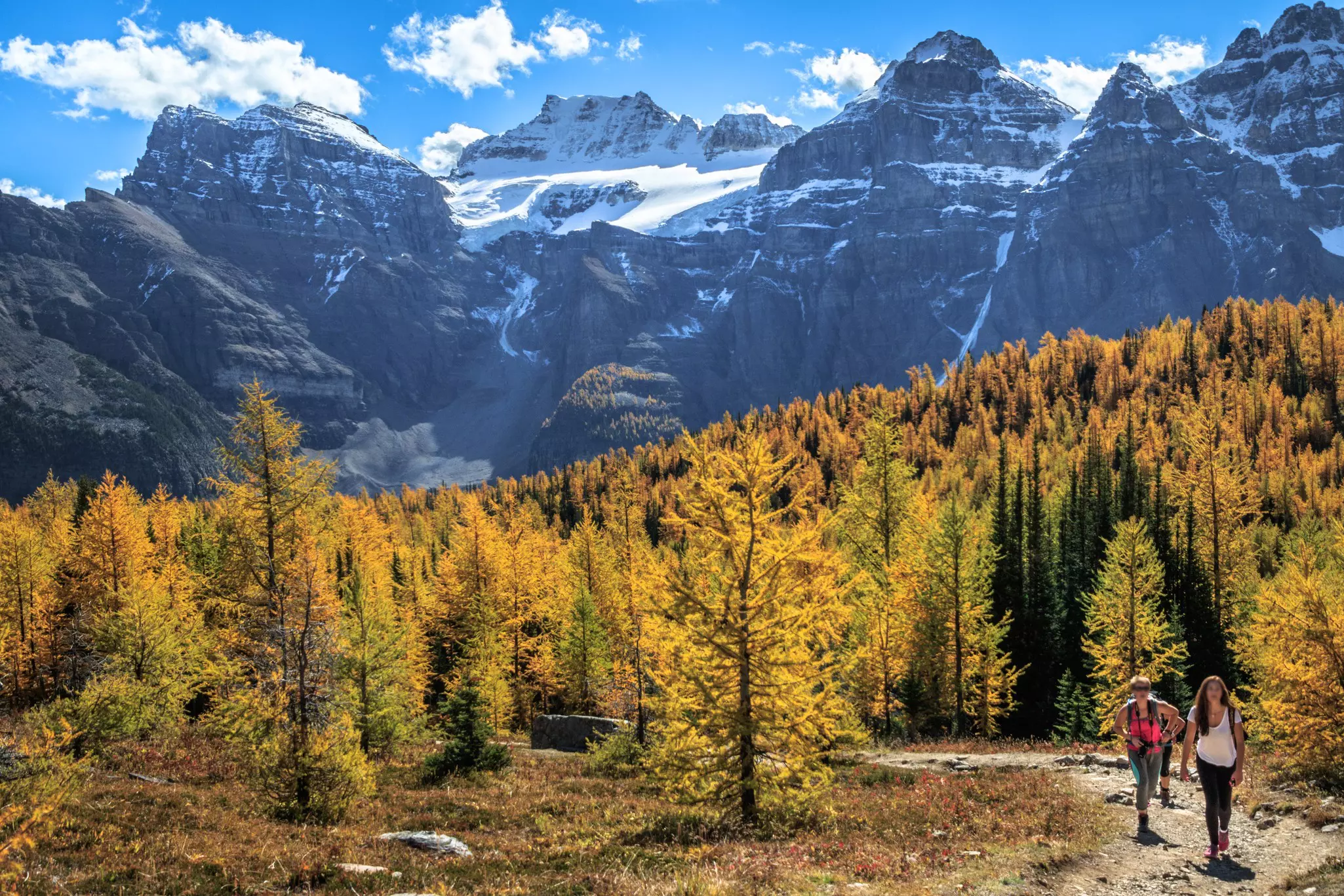 Head to Banff in early October to for sunny hikes among groves of golden larch trees © Feng Wei Photography / Getty Images