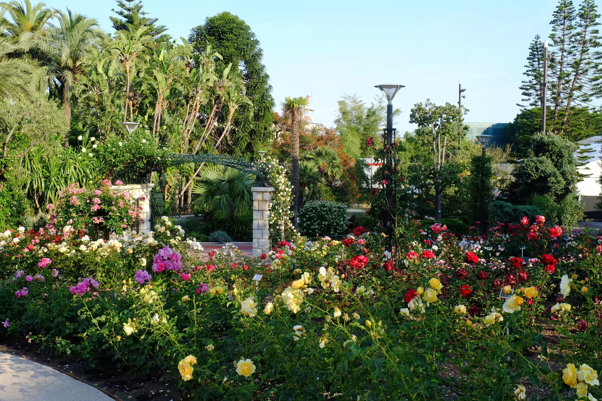 Princess Grace Rose Garden, Monaco.