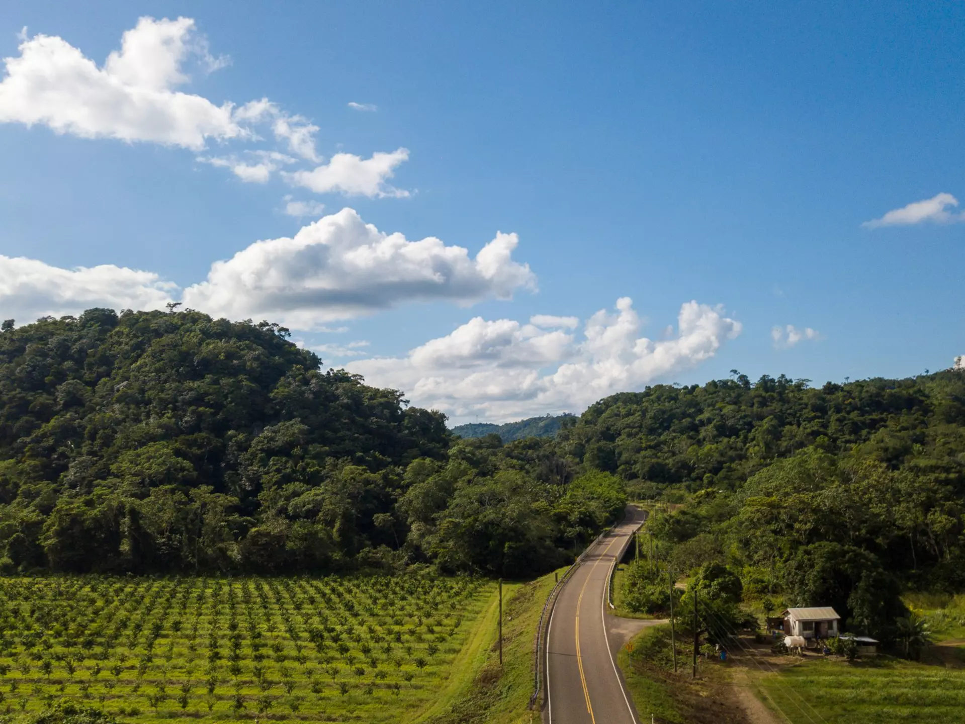Belize Aquila Flores DJI_0062-2 LP.jpg