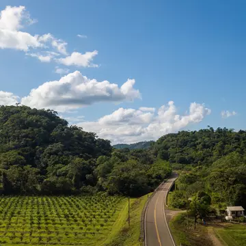 Belize Aquila Flores DJI_0062-2 LP.jpg
