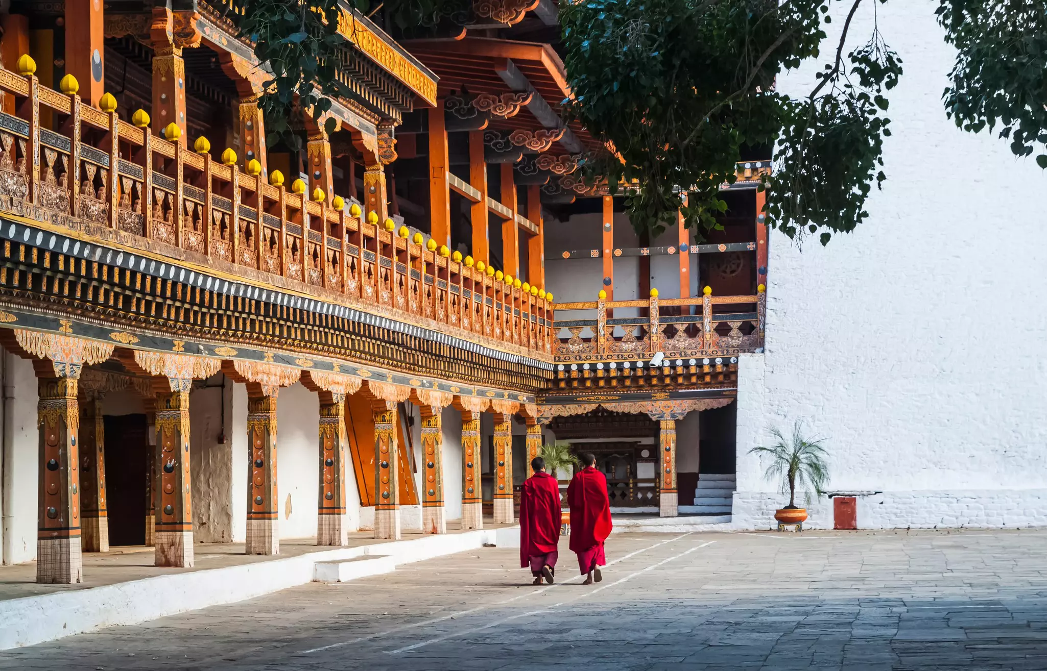 Two monks in robes are seen from behind walking in the courtyard of a temple.