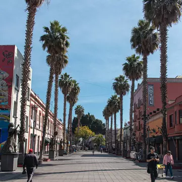 View down a pedestrian street by Plaza Garibaldi, lined with tall palm trees and colorful buildings under a bright blue sky in Mexico City.