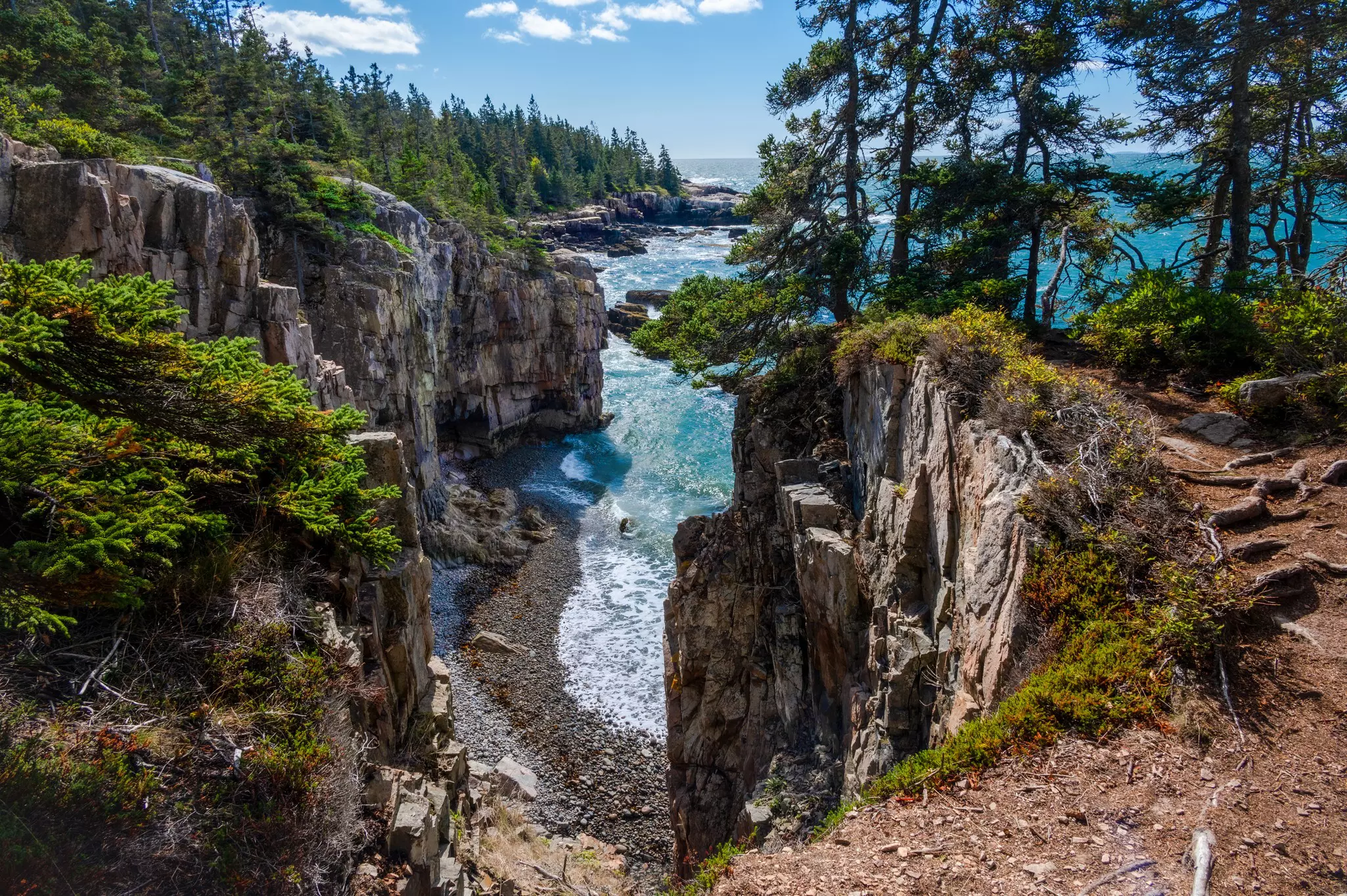 A rocky forested inlet where the sea is pounding the cliffs.