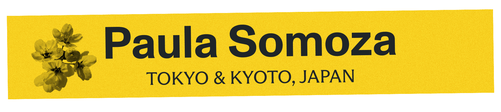Kyoto, Japan