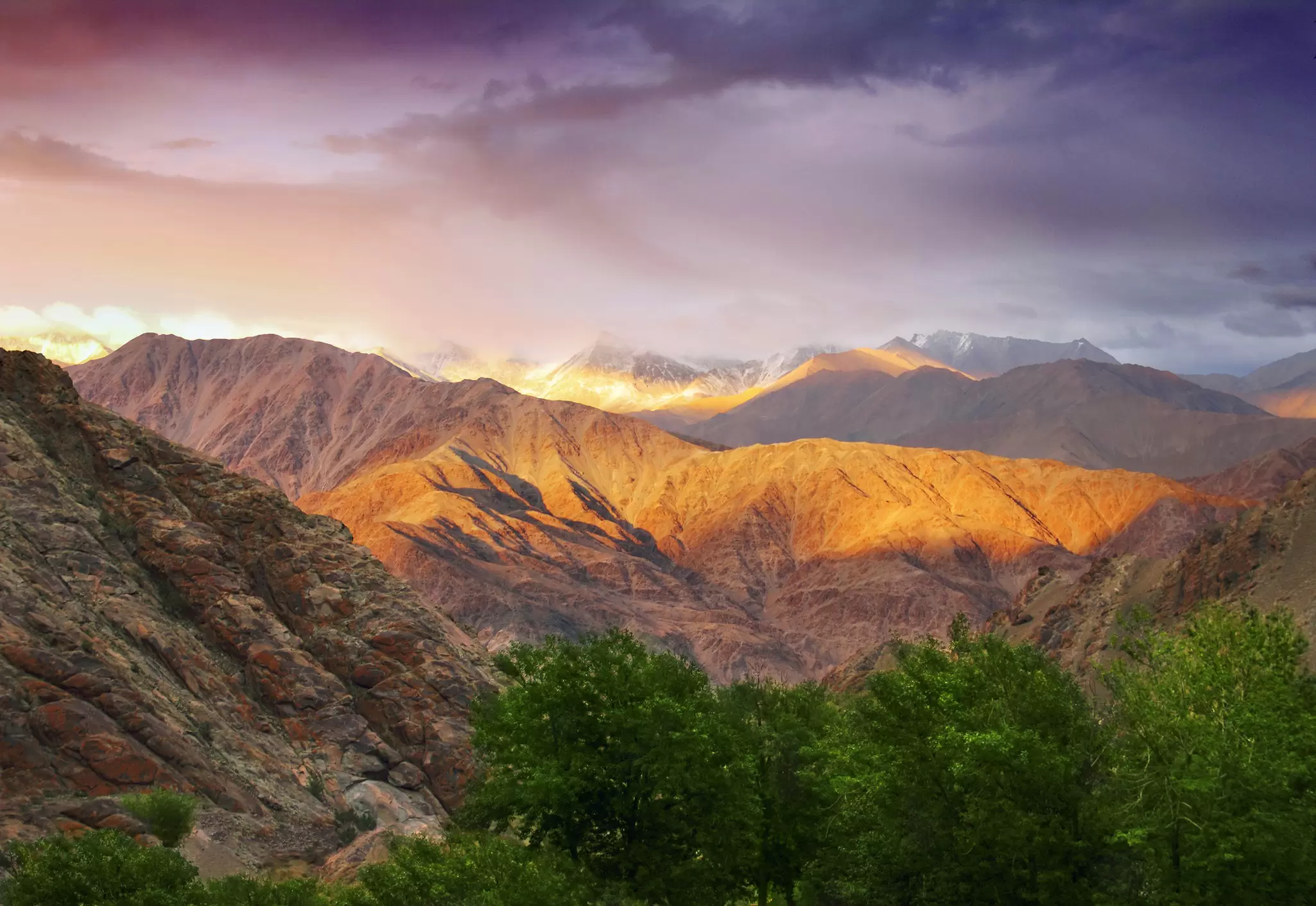 Rugged Himalayan ridges glowing orange under a dramatic evening sky above green trees in Ladakh.