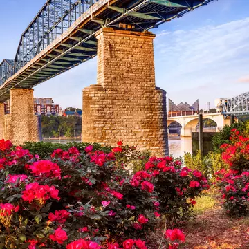 Walnut Street Bridge, Chattanooga, Tennessee, US