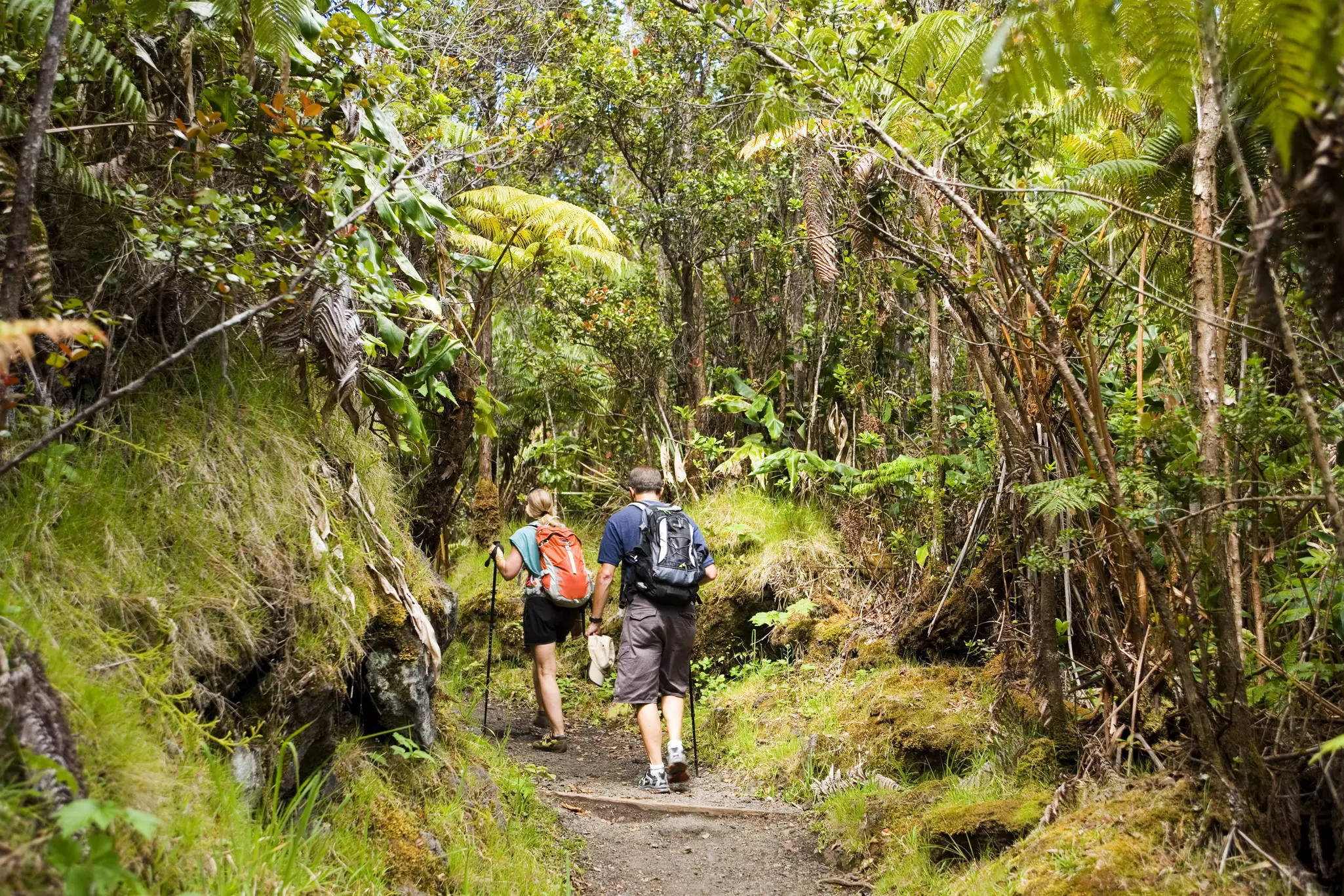 Two people hiking the Kīlauea Iki Trail.